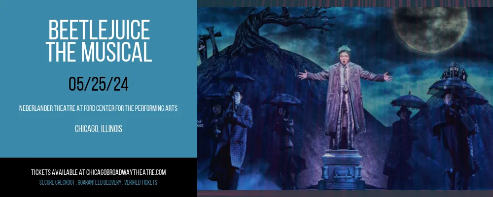 Beetlejuice - The Musical at Nederlander Theatre at Ford Center for the Performing Arts