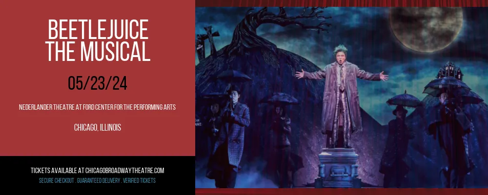 Beetlejuice at Nederlander Theatre at Ford Center for the Performing Arts